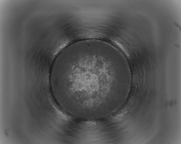 X0000091720394200708311143