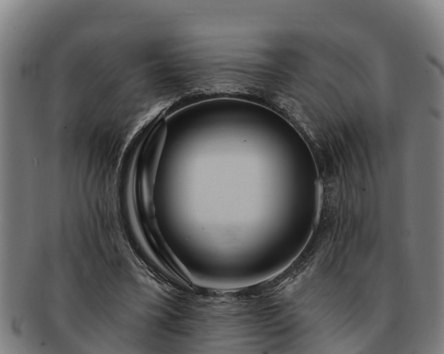 X0000091720395200708311143