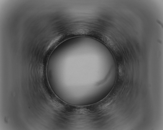 X0000091720396200708311143