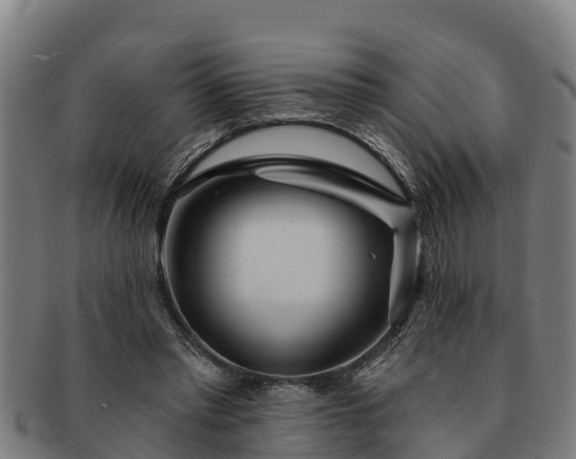 X0000091720397200708311143