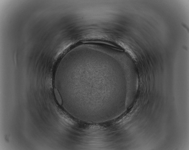 X0000091720399200708311143