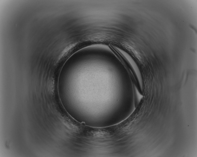 X0000091720400200708311143