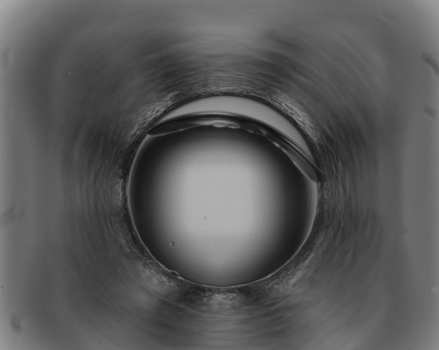 X0000091720401200708311143