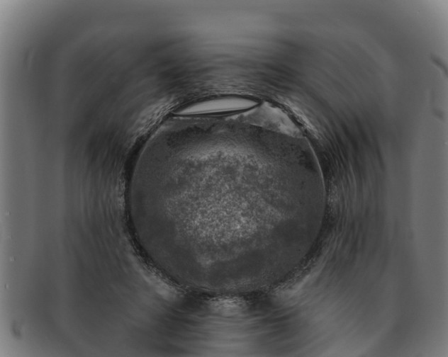 X0000091720402200708311143