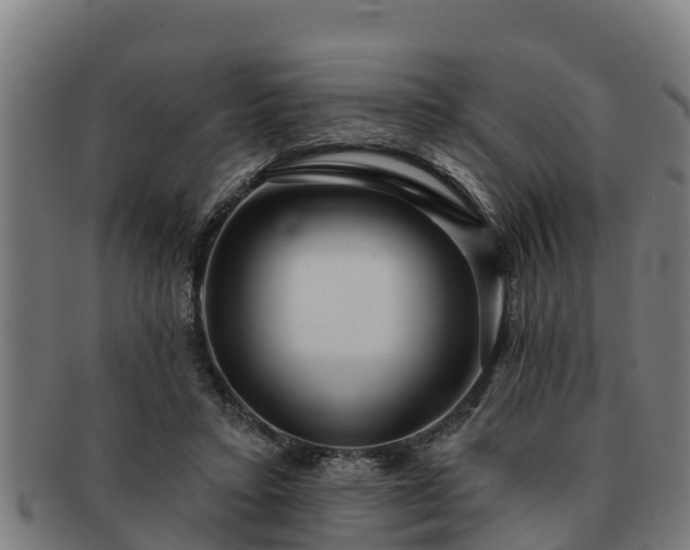 X0000091720403200708311143