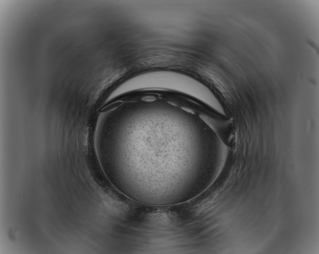 X0000091720404200708311143