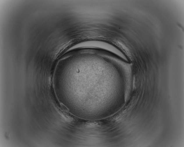 X0000091720405200708311143