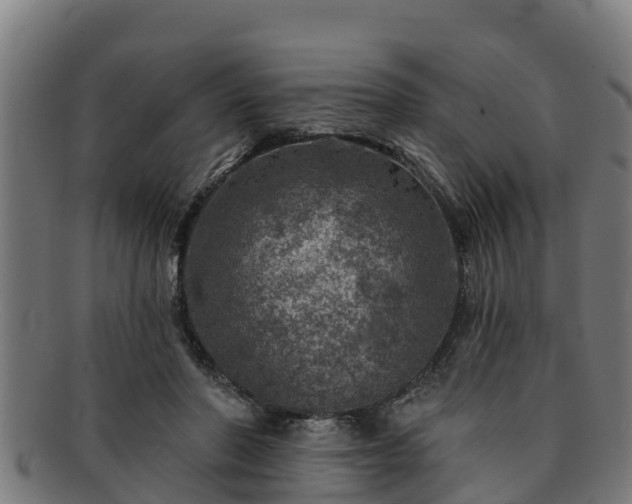 X0000091720406200708311143