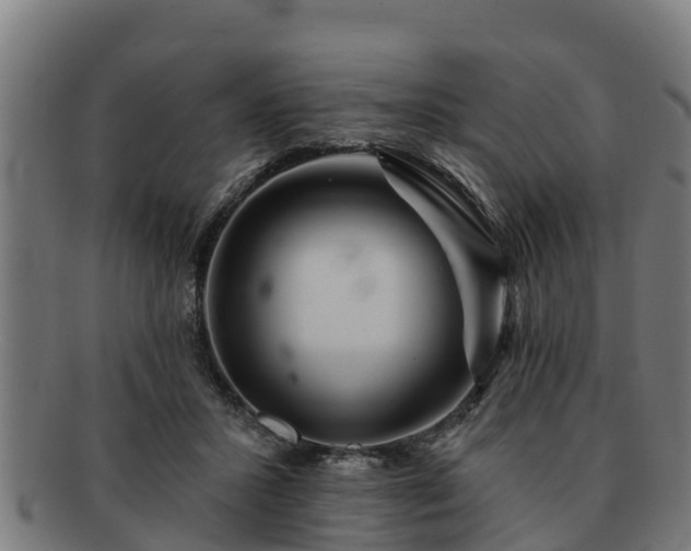 X0000091720407200708311143