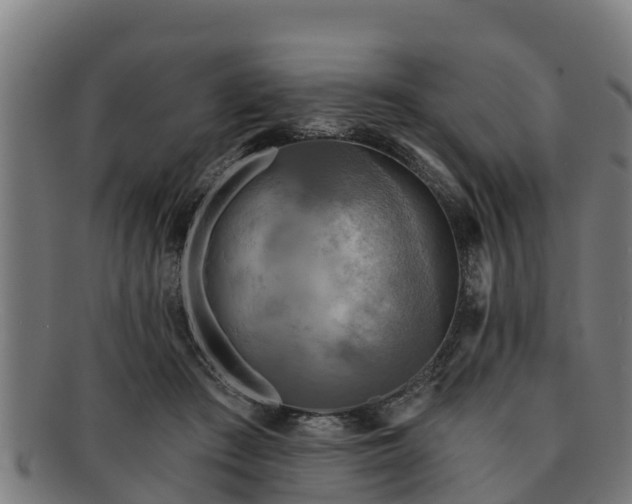 X0000091720409200708311143