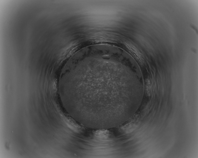 X0000091720410200708311143