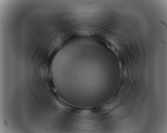 X0000091720411200708311143