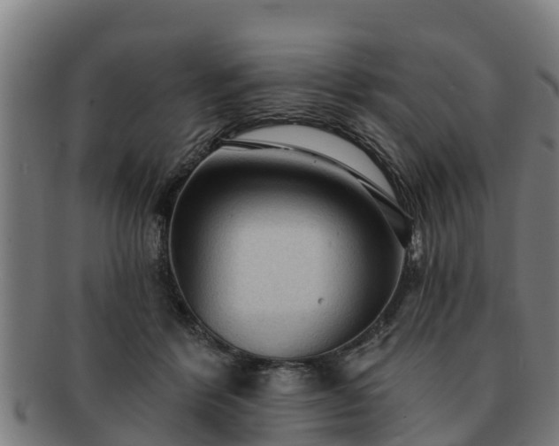 X0000091720412200708311143