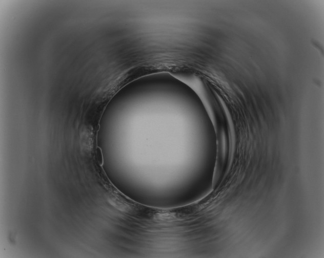 X0000091720413200708311143