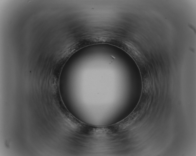 X0000091720414200708311143