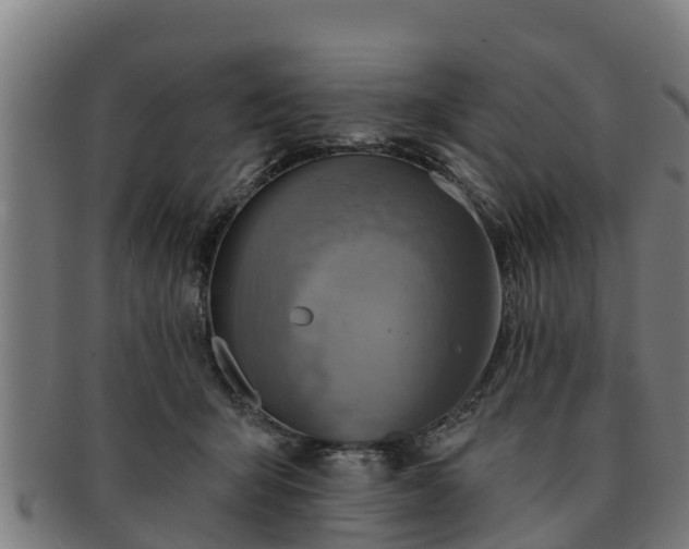 X0000091720415200708311143