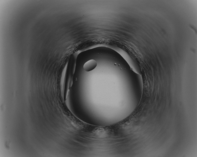 X0000091720416200708311143