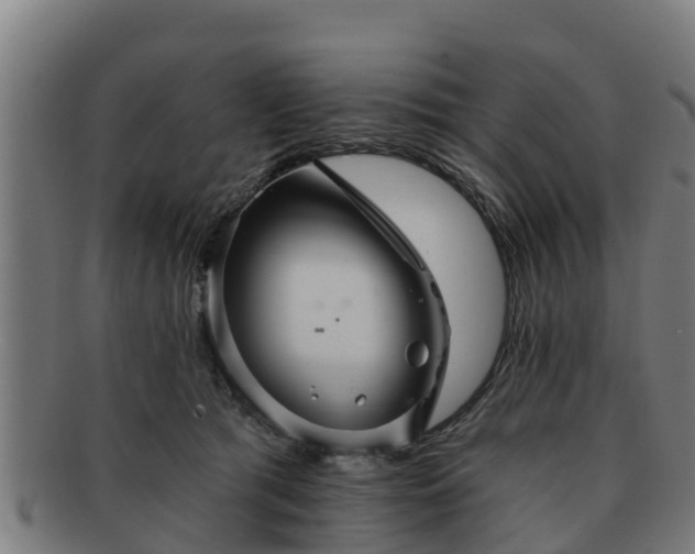 X0000091720417200708311143