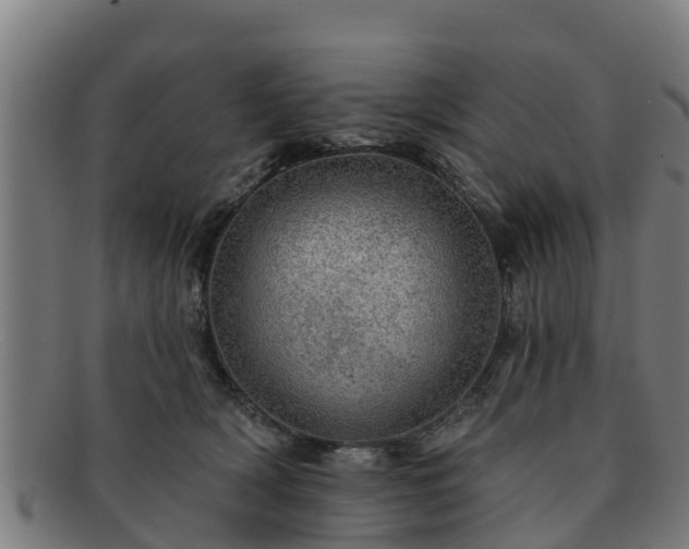 X0000091720418200708311143