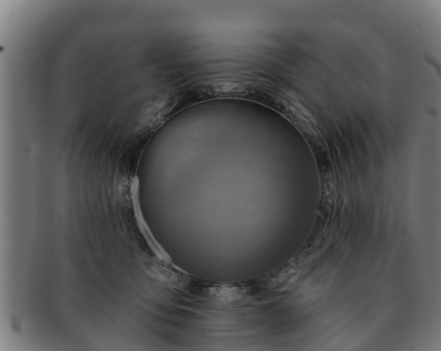 X0000091720419200708311143