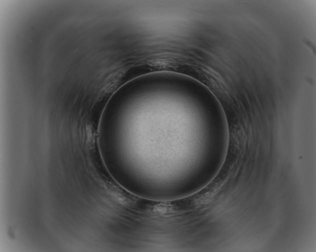 X0000091720420200708311143