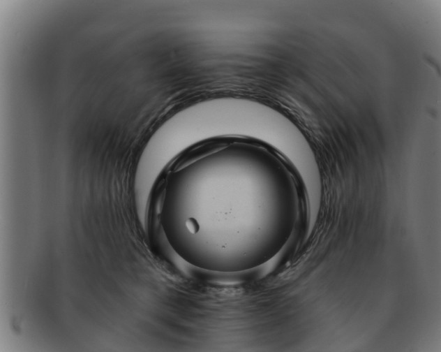 X0000091720421200708311143