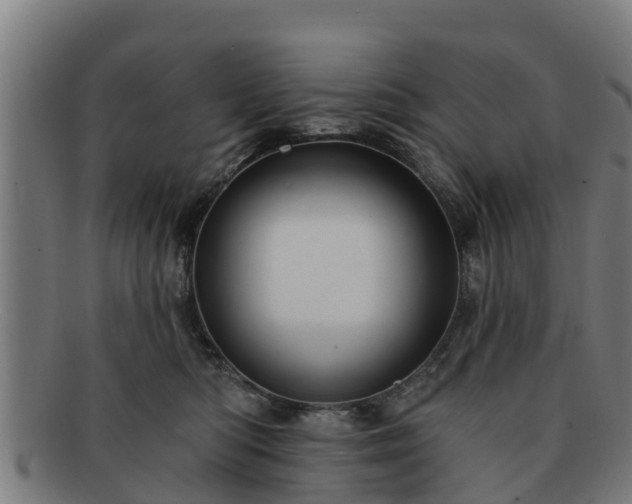 X0000091720422200708311143