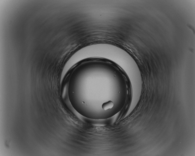 X0000091720423200708311143