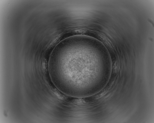 X0000091720424200708311143