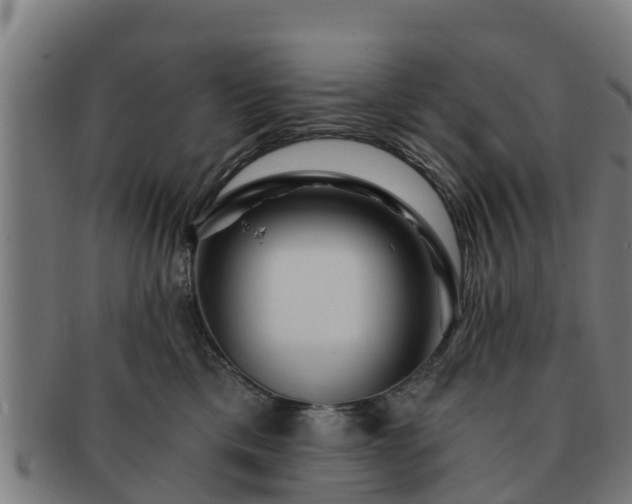 X0000091720425200708311143