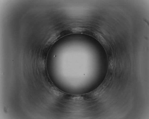 X0000091720426200708311143