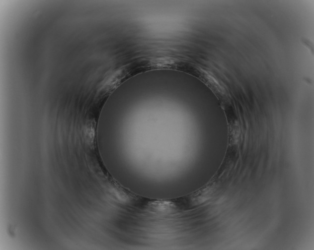 X0000091720427200708311143