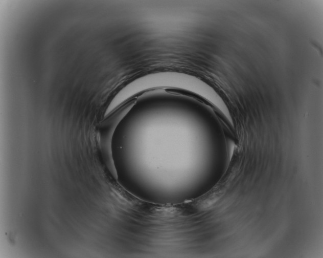 X0000091720428200708311143