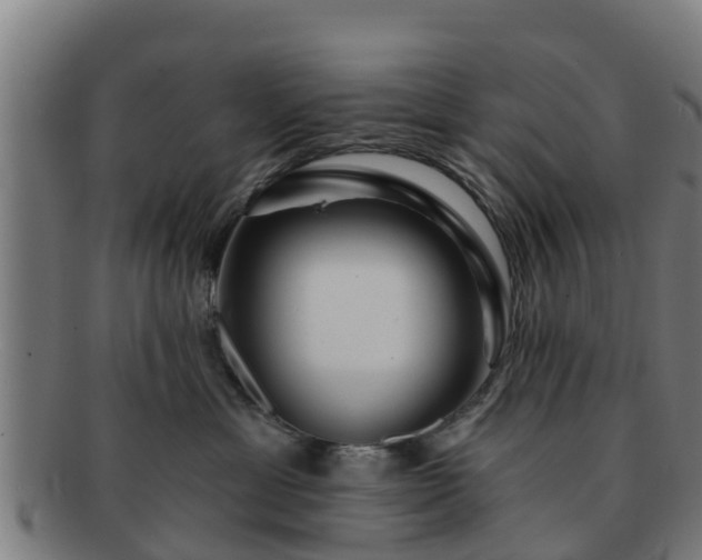 X0000091720429200708311143