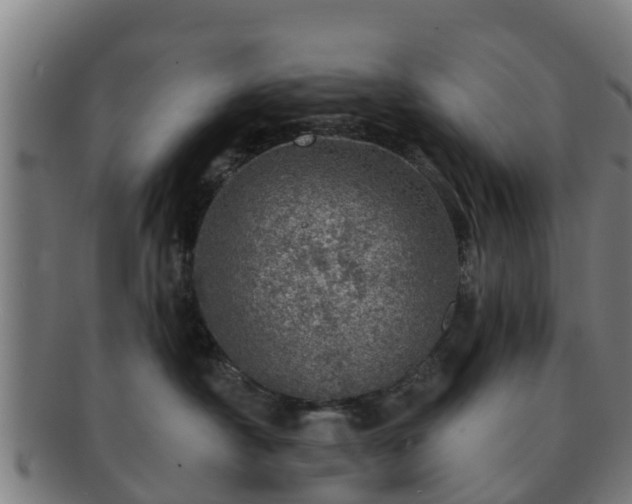 X0000091720430200708311143