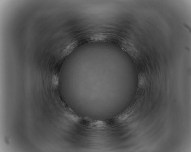 X0000091720431200708311143