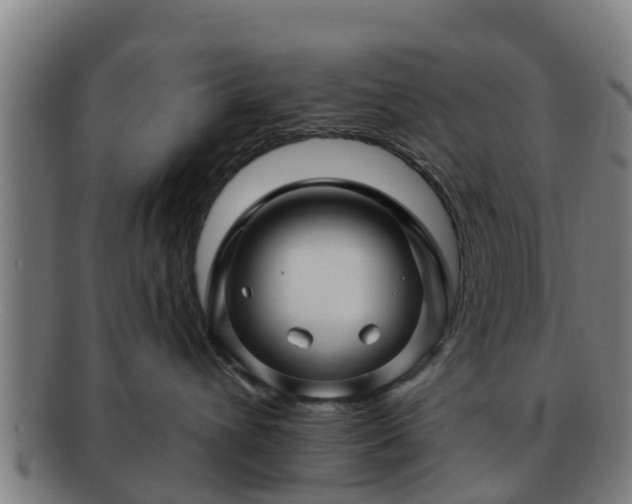 X0000091720432200708311143