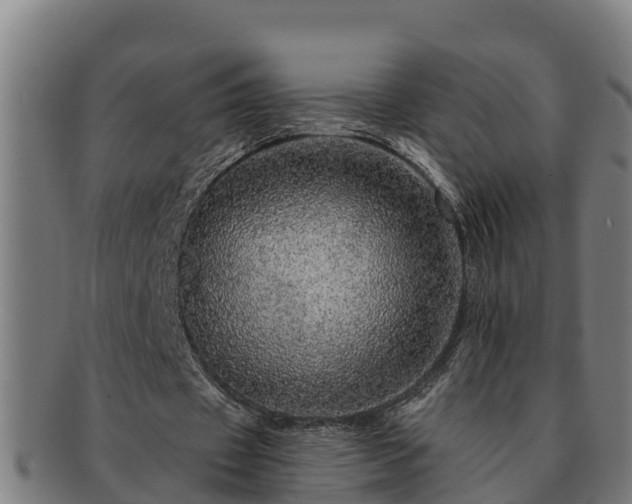 X0000091720433200708311142