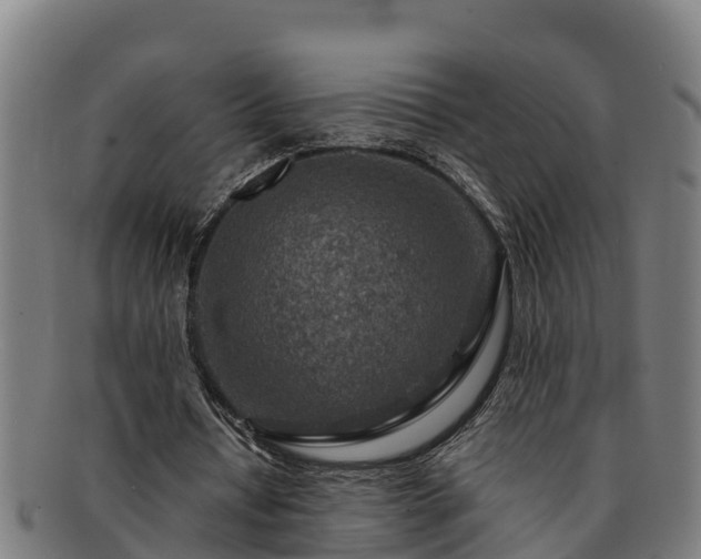 X0000091720434200708311142