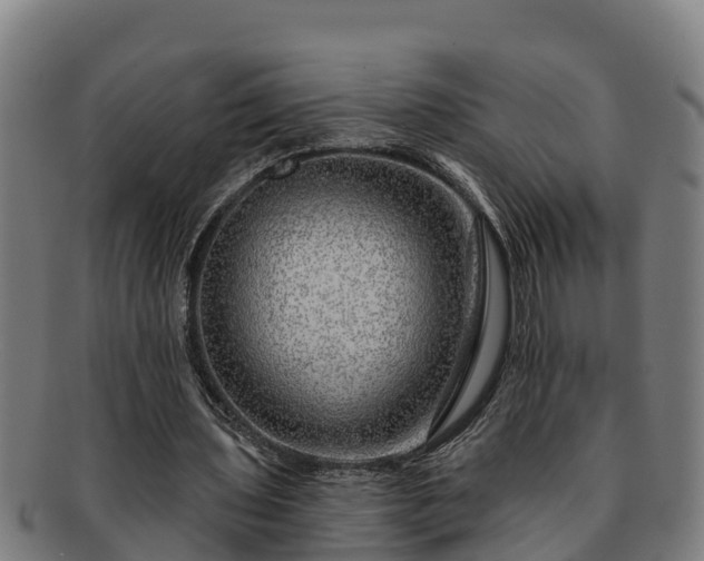 X0000091720435200708311142