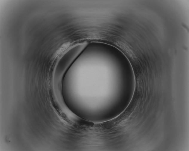 X0000091720436200708311142