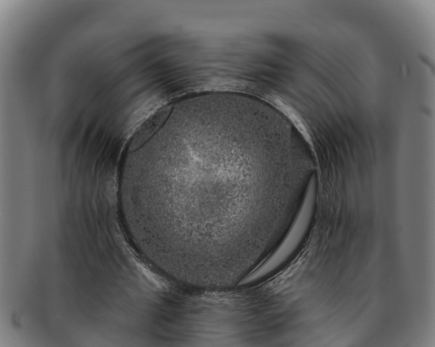 X0000091720437200708311142