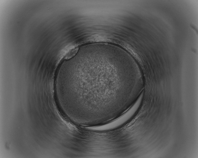 X0000091720438200708311142