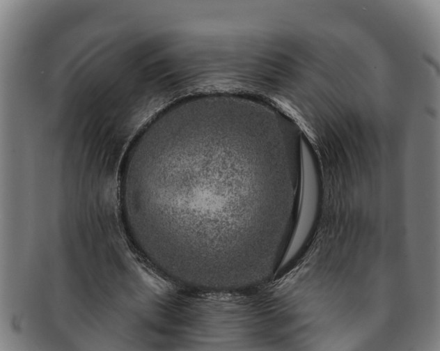 X0000091720439200708311142