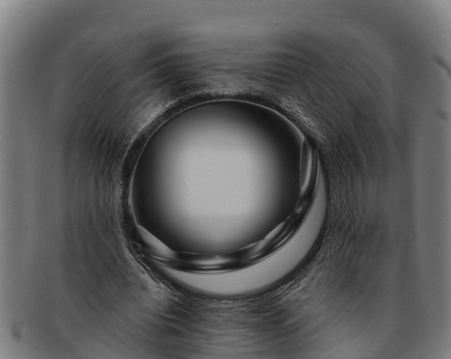 X0000091720440200708311142