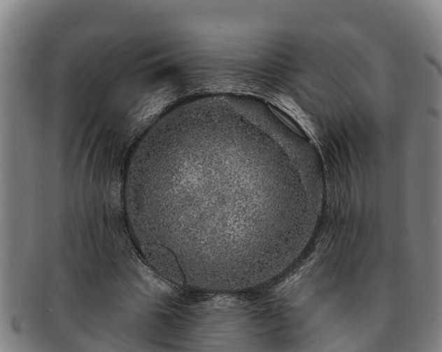 X0000091720441200708311142