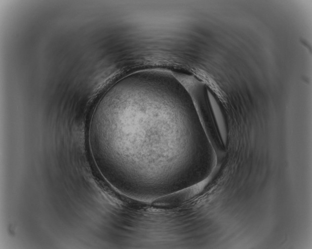 X0000091720442200708311142