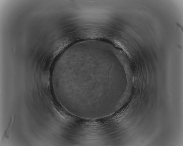 X0000091720443200708311142