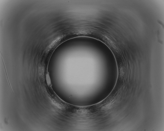 X0000091720444200708311142