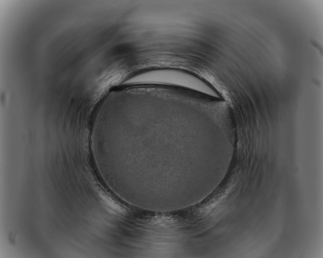 X0000091720445200708311142